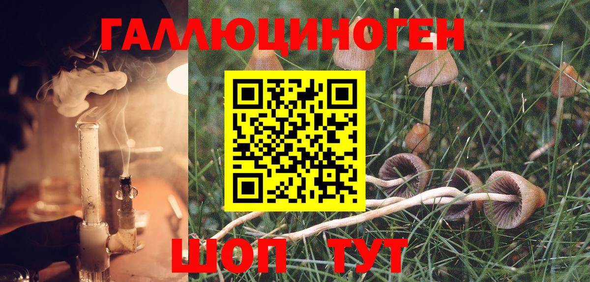 Сланцы  Псилоцибиновые грибы Psilocybine cubensis  Вход с VPN 