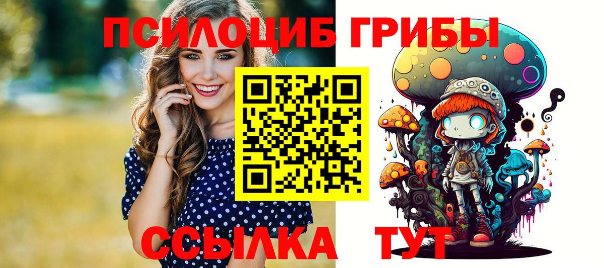 Псилоцибиновые грибы Psilocybine cubensis Сланцы