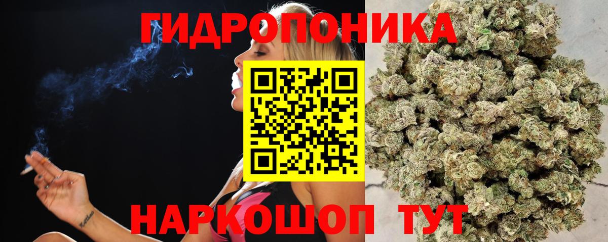Бошки марихуана тримм Сланцы
